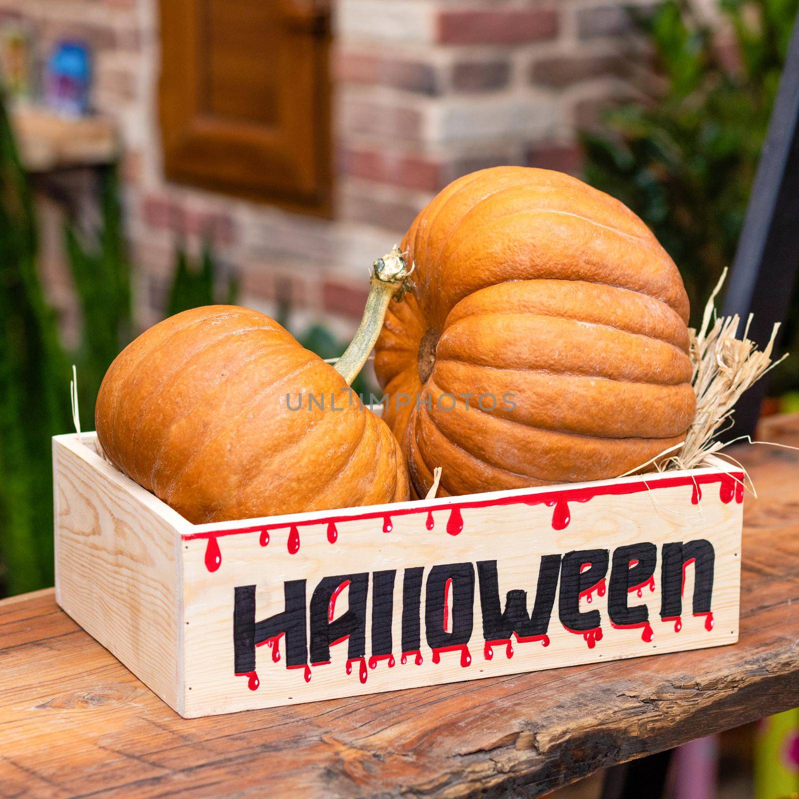 Halloween Pumpkins in the wooden box by ferhad