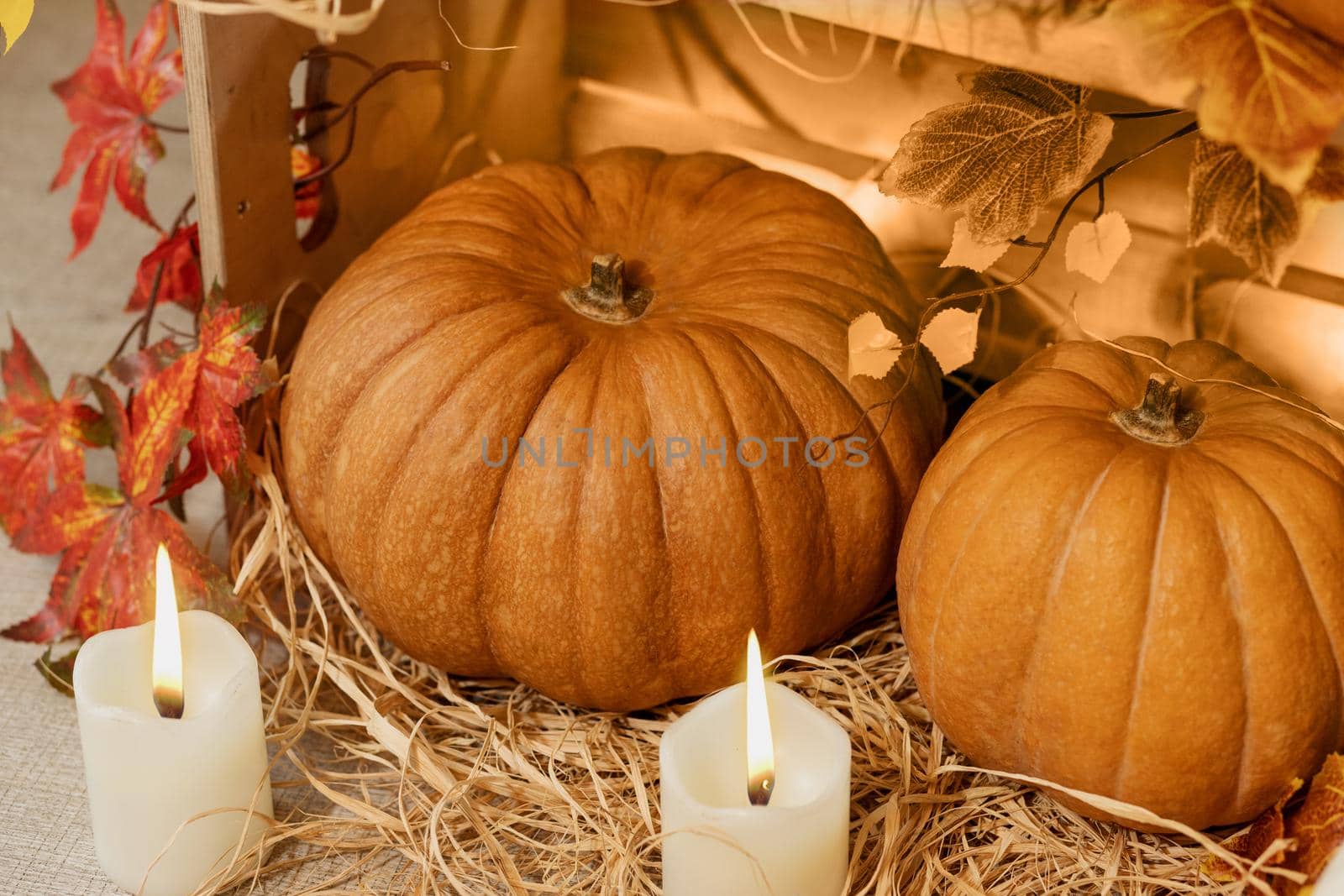 Halloween Pumpkins in the wooden crates with candles, straw, autumn leaves