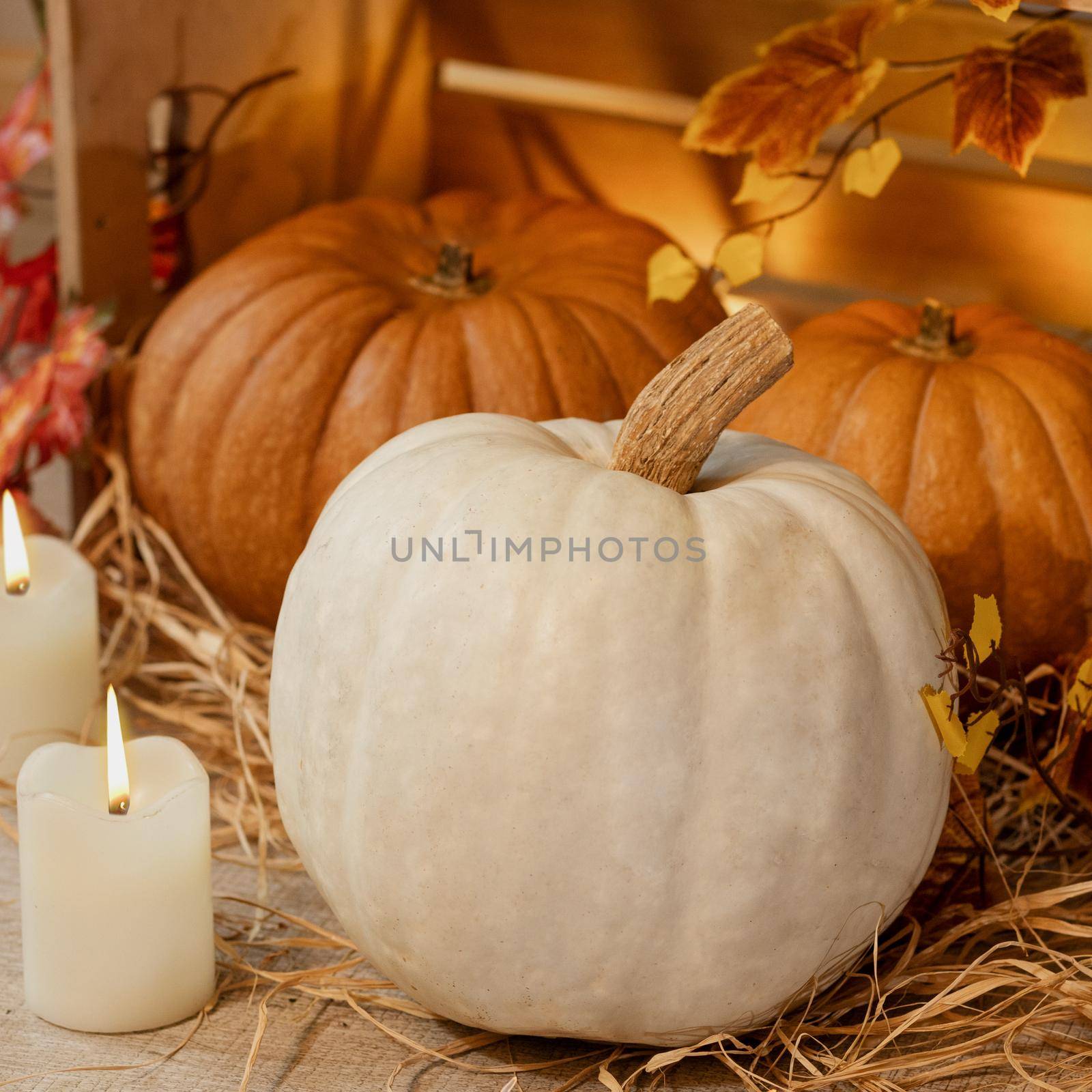 White Halloween Pumpkins in the wooden crates with candles, straw, autumn leaves by ferhad