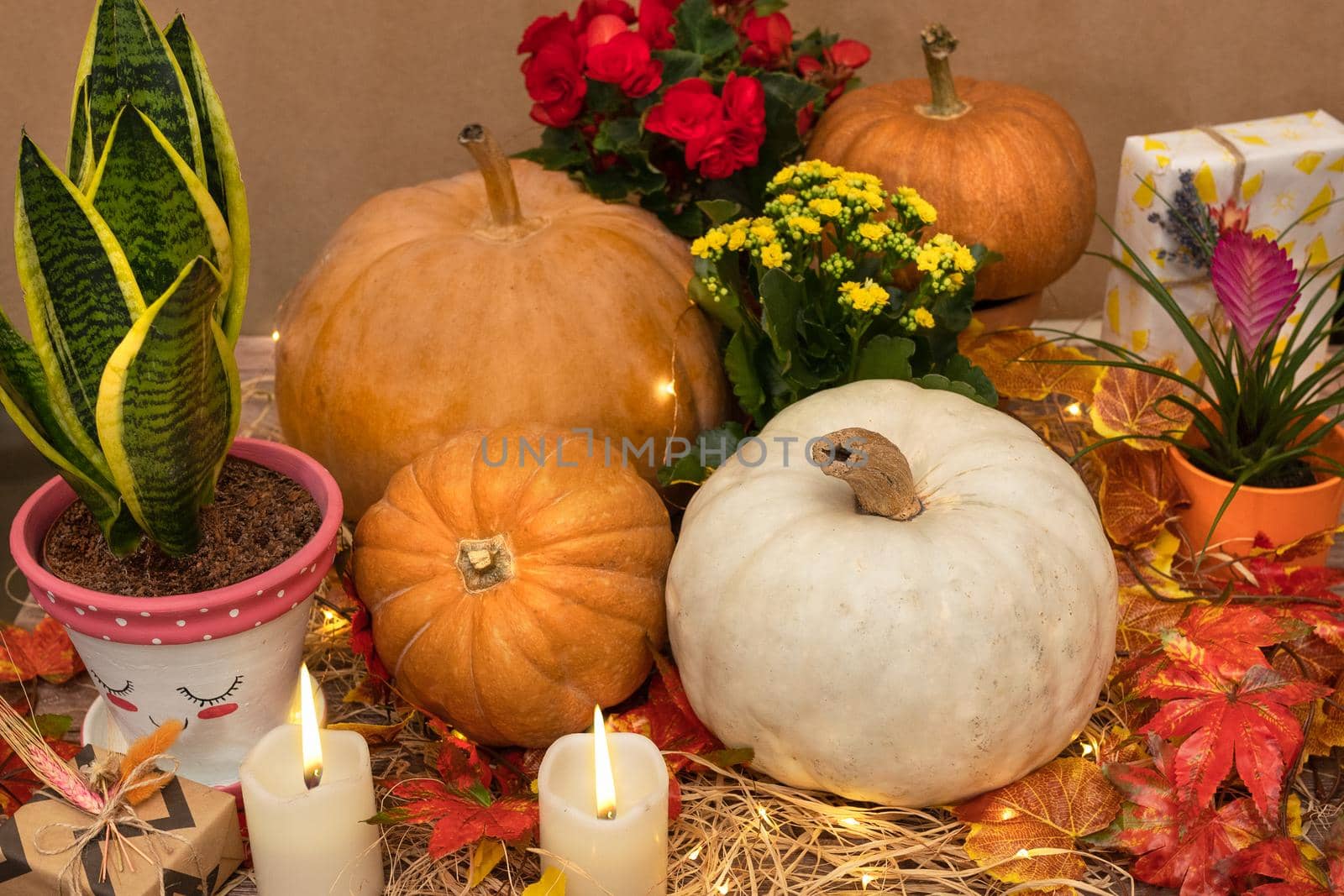 Halloween Pumpkins in the wooden crates with candles, straw, plants