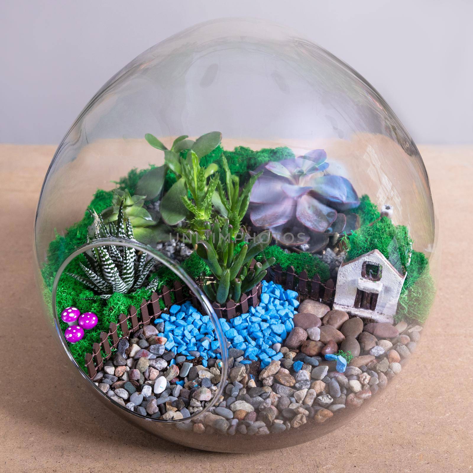 Terrarium, sand, rock, decor house, succulent, cactus in the rounded glass