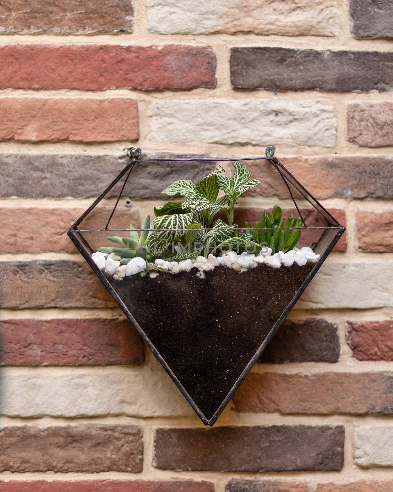 Beautiful glass terrarium with succulent, cactus, flower, rock, sand inside, on the wall