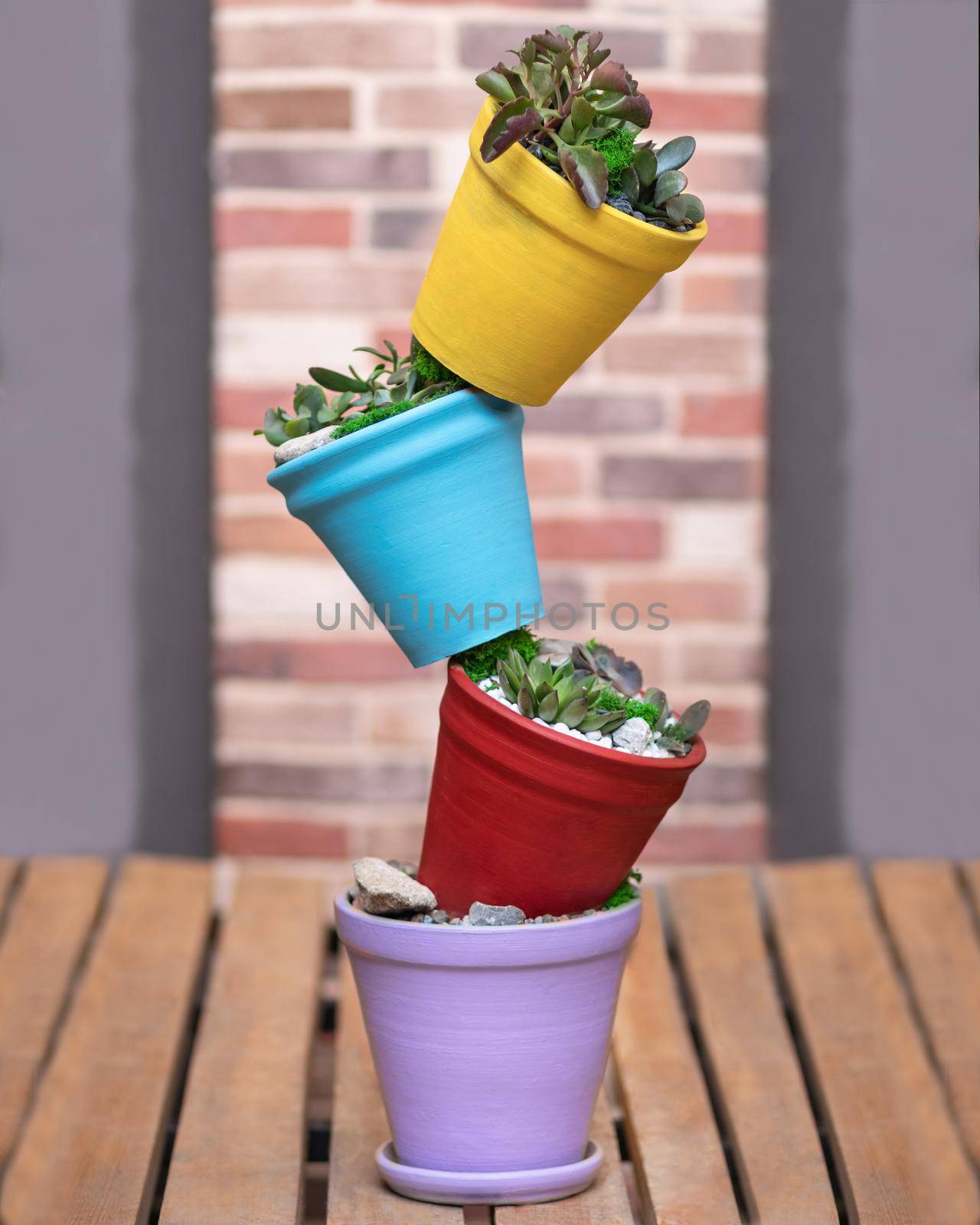 Creative colorful terrarium plant flowerpot by ferhad