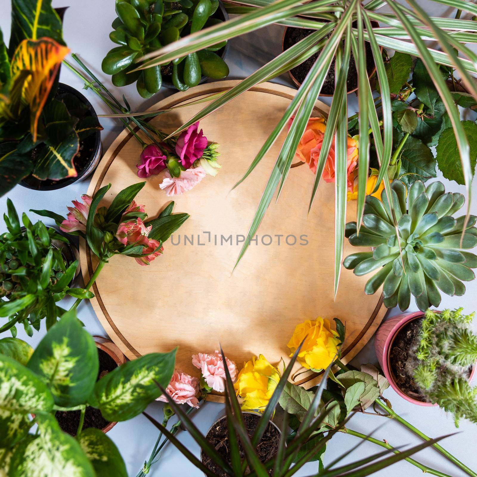 Empty plate with plants, flowers around by ferhad