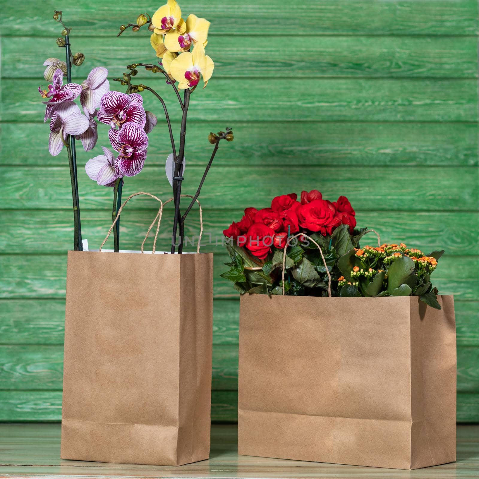 Beautiful colorful orchid, begonia, gardenia in the shopping bag with green background by ferhad