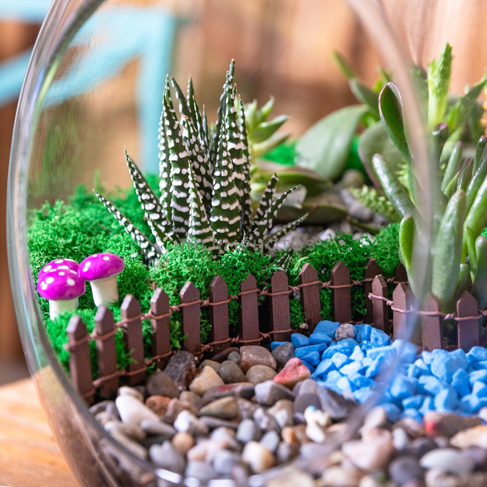 Terrarium, sand, rock, succulent, cactus, decor small house in the glass by ferhad