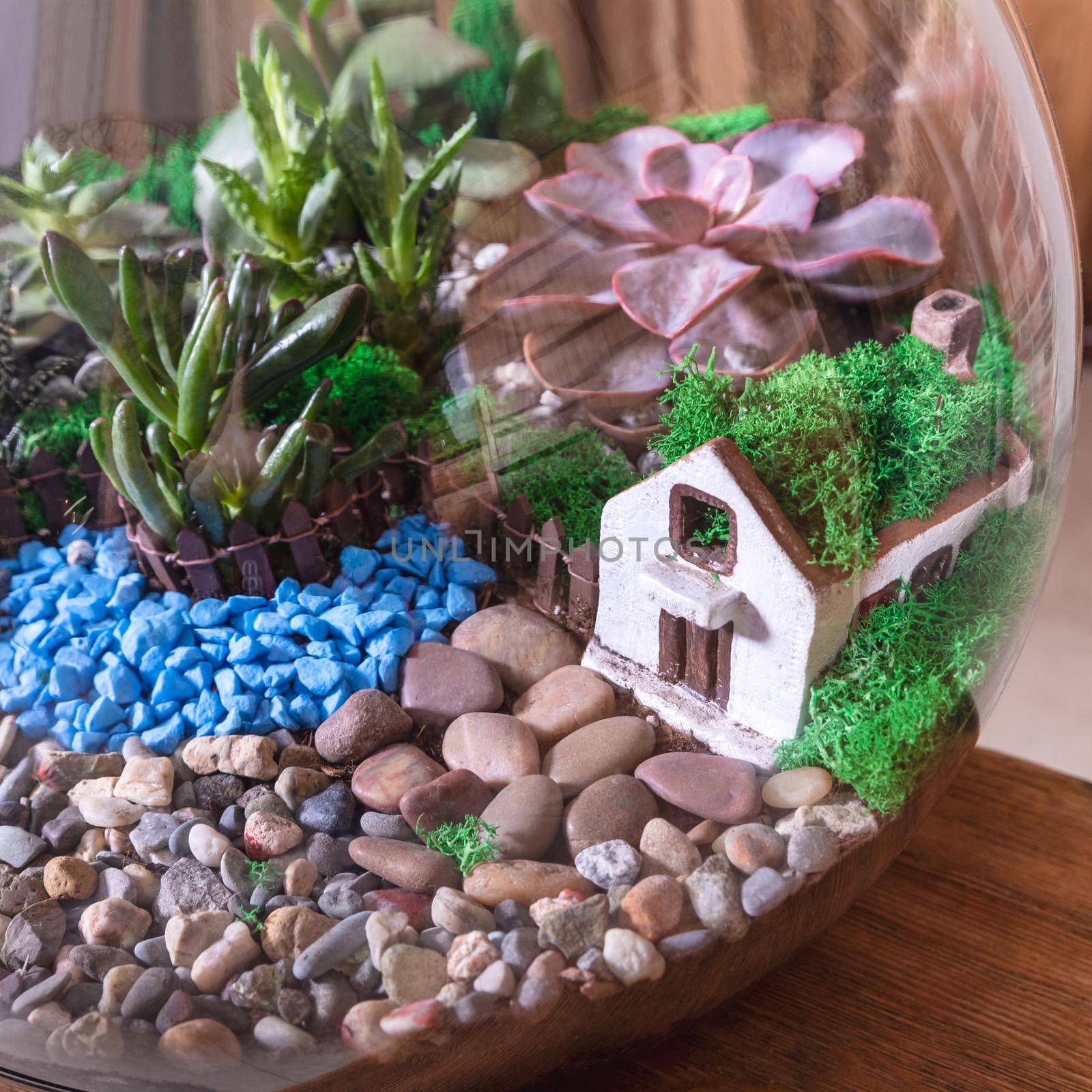 Terrarium, sand, rock, succulent, cactus, decor small house in the glass