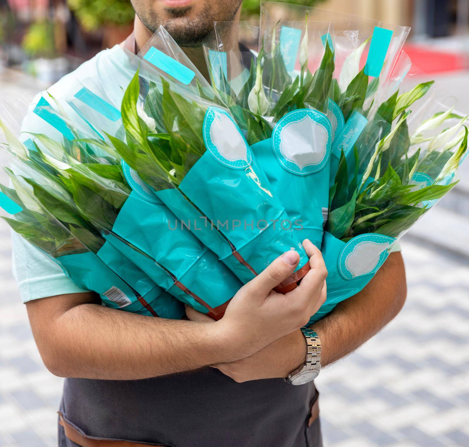 Man holding A lot of Peace lily, Spathiphyllum, Women's happiness by ferhad