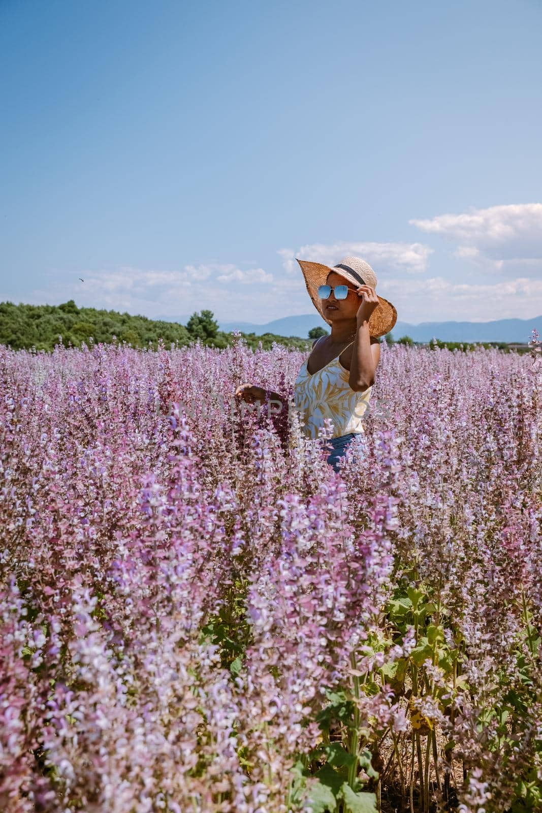 woman on vacation at the provence lavender fields, Provence, Lavender field France, Valensole Plateau, colorful field of Lavender Valensole Plateau, Provence, Southern France. Lavender field by fokkebok