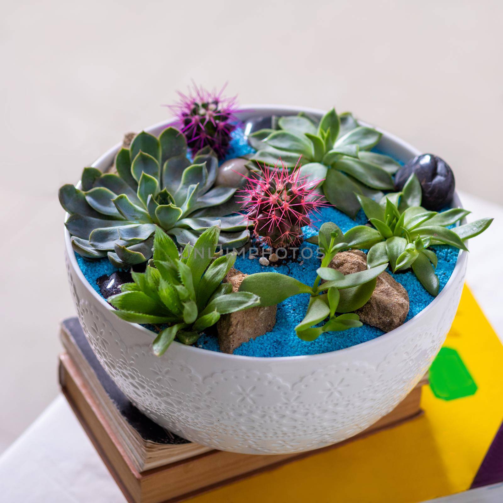 Colorful terrarium with succulent, cactus, flower, rock, sand inside the pot