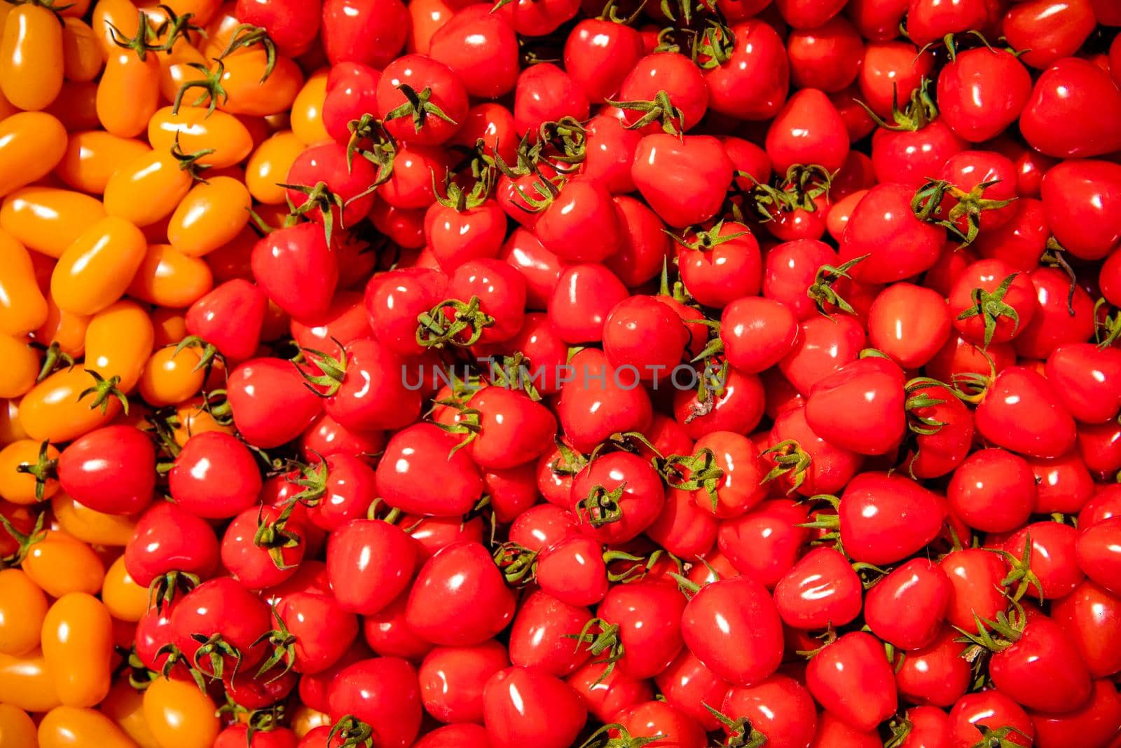 background from red and yellow ripe tomatoes grown without chemistry.
