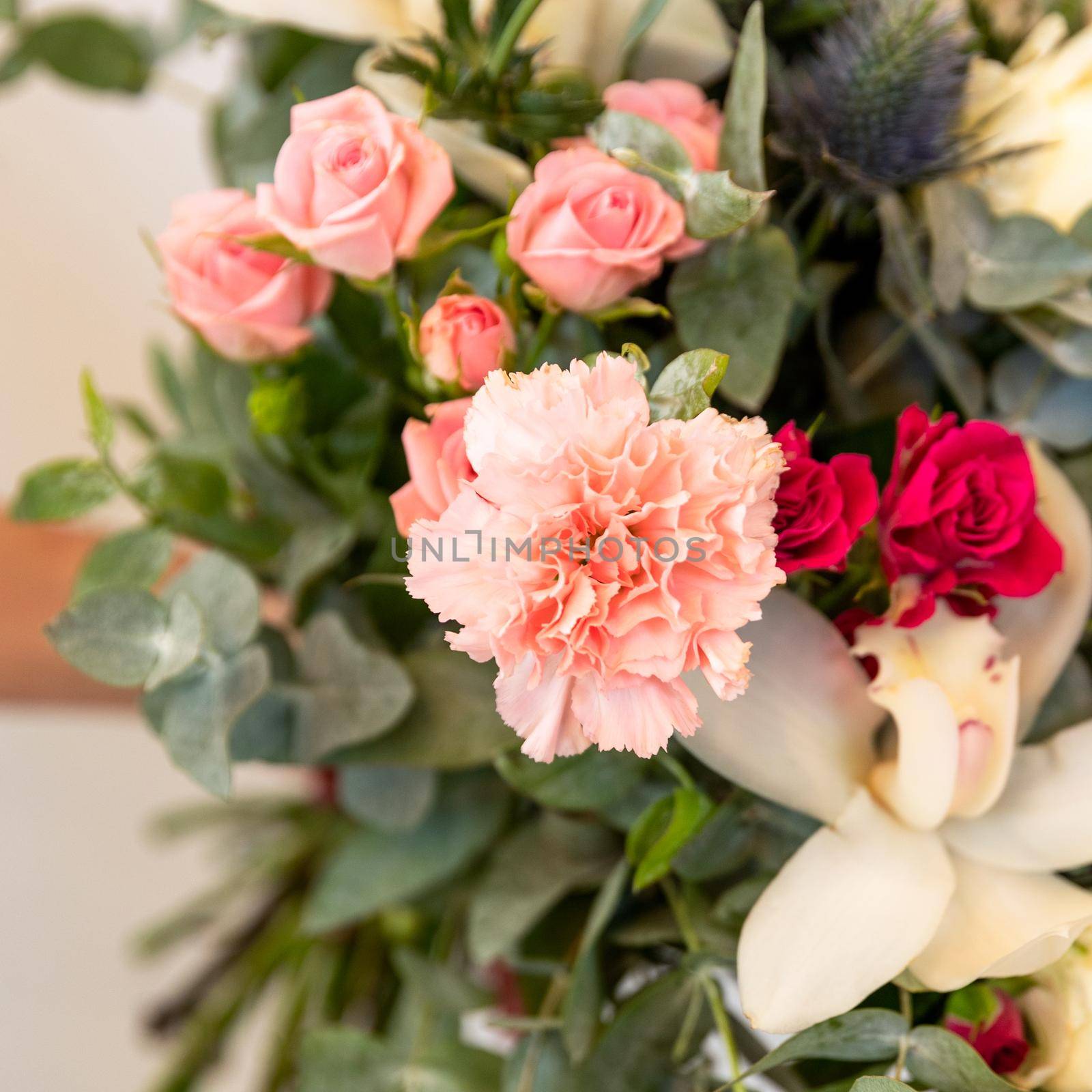 Colorful Cabbage rose flower bouquet close up