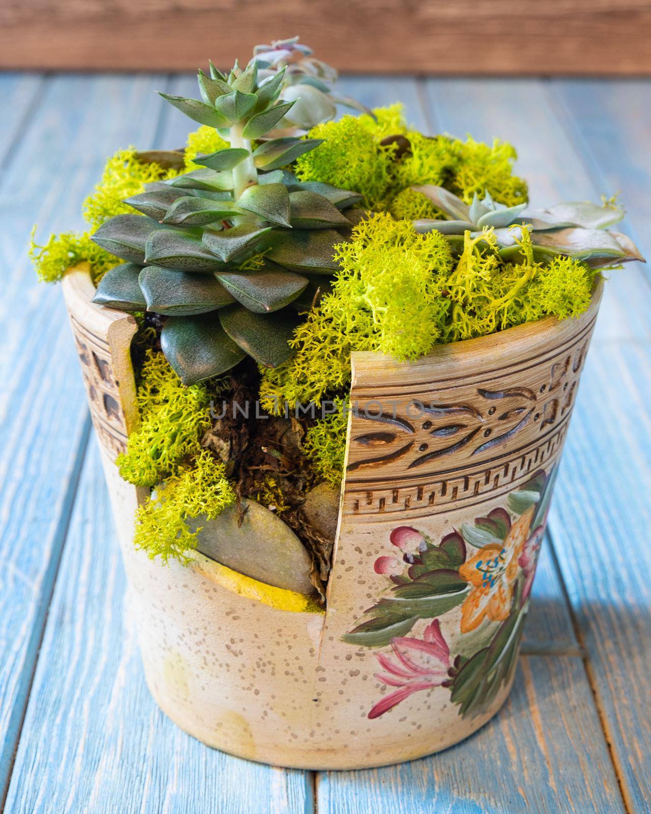 Terrarium, sand, rock, succulent, cactus, moss in the half broken ceramic pot