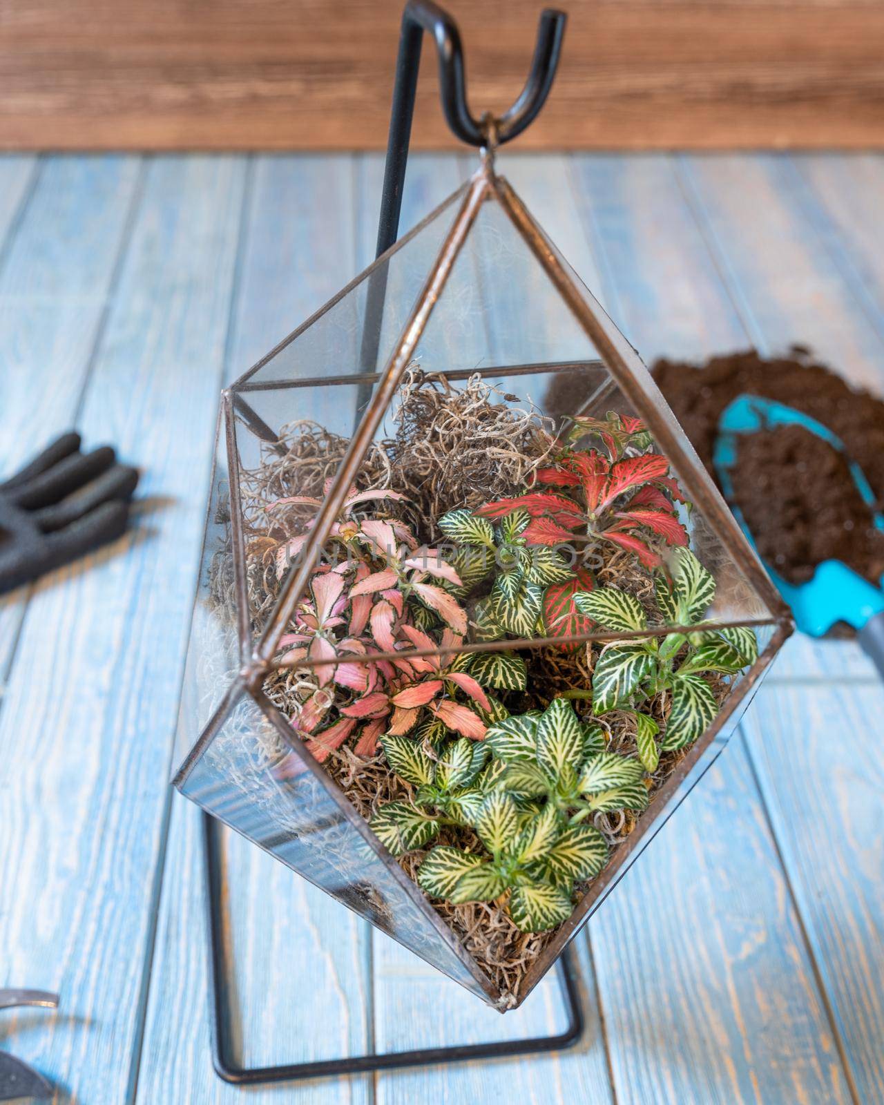 Terrarium, sand, rock, succulent, cactus, moss in the glass, gloves, shavel