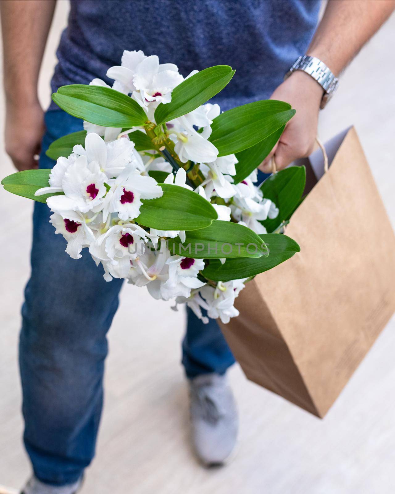 White Dendrobium nobile orchid flower in shopping bag