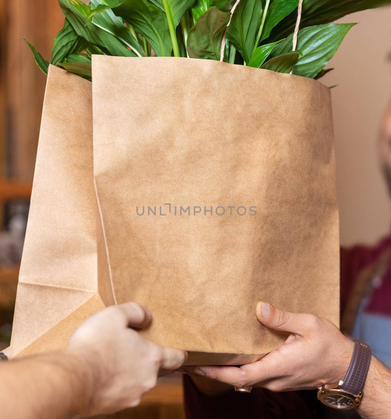 Garden store worker giving shopping bag to the client, plant inside