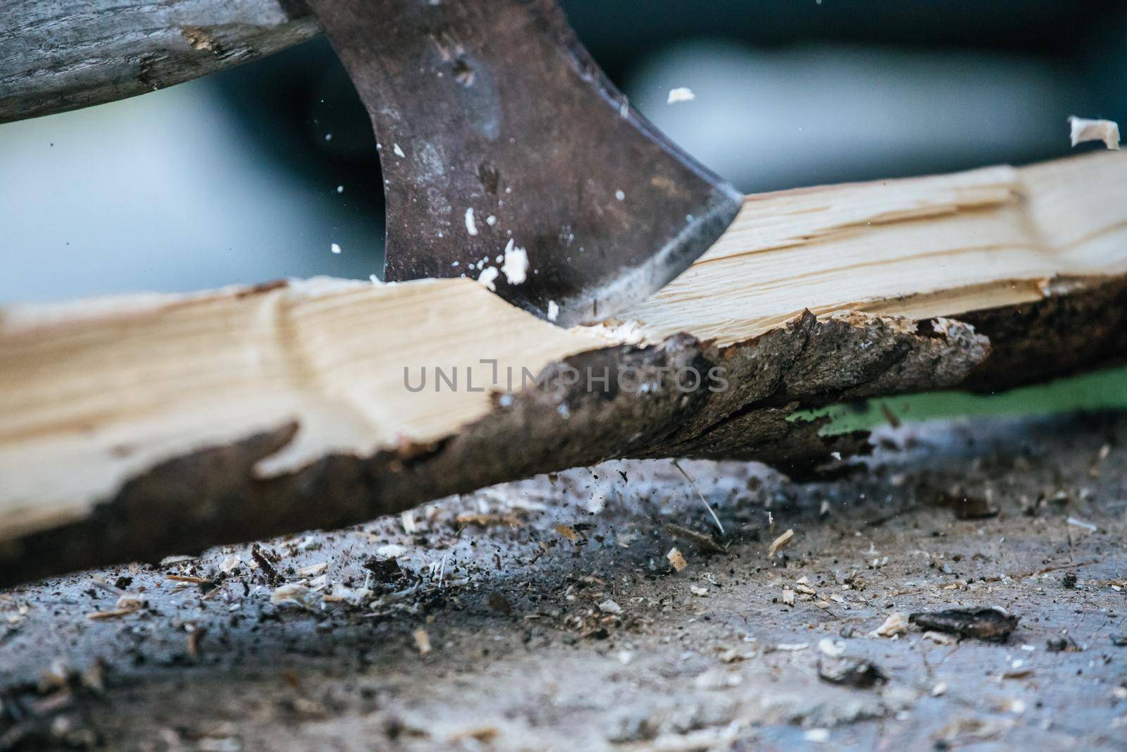 Sharpe axe is cutting wood for making fire, close up picture