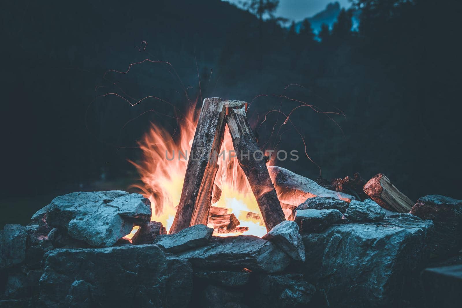 Forest bonfire in the summer, camping time with friends. Copy space.