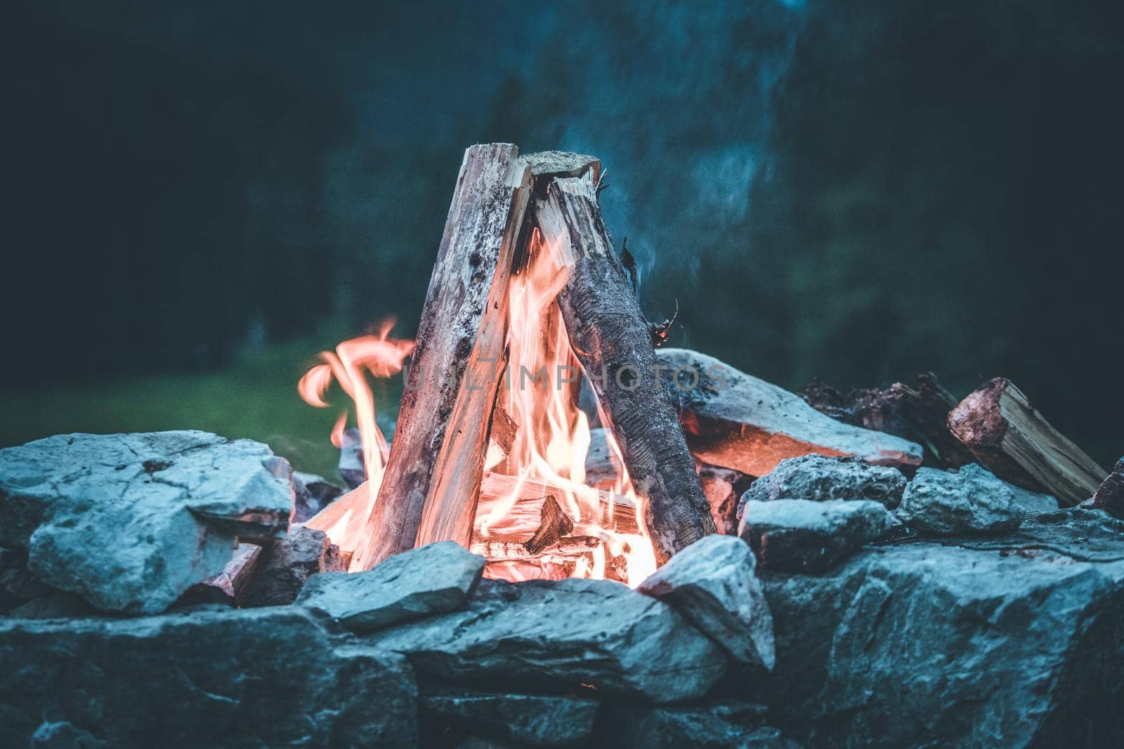 Forest bonfire in the summer, camping time with friends. Copy space.