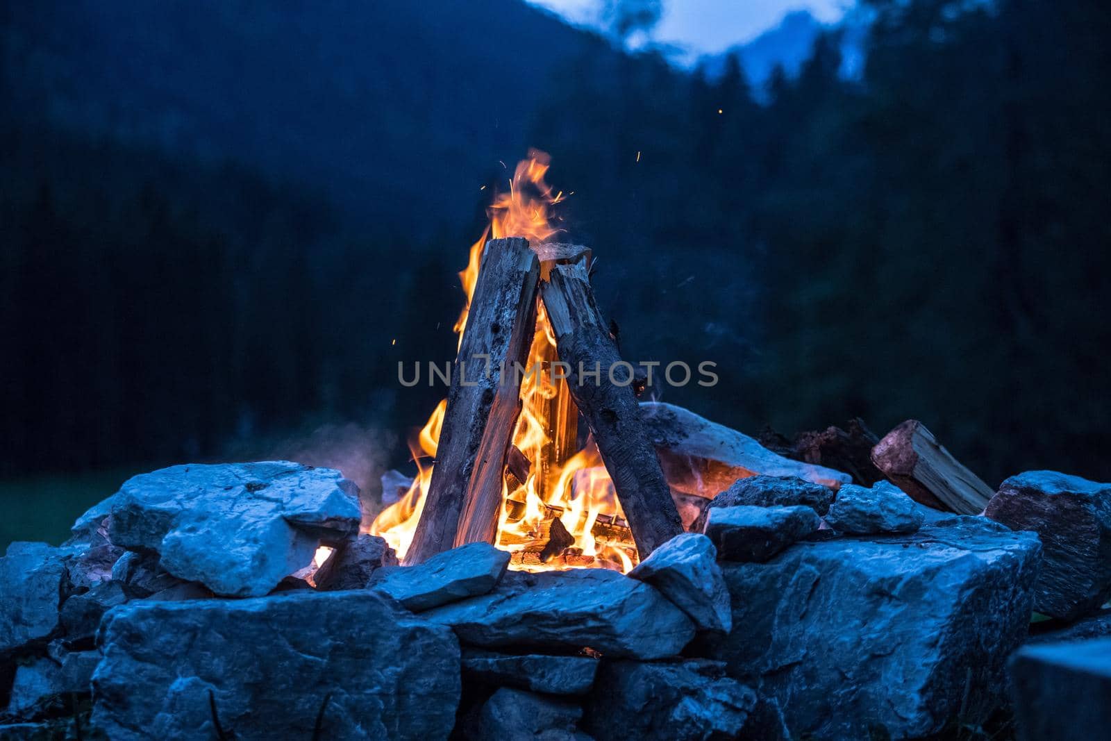 Forest bonfire in the summer, camping time with friends. Copy space.