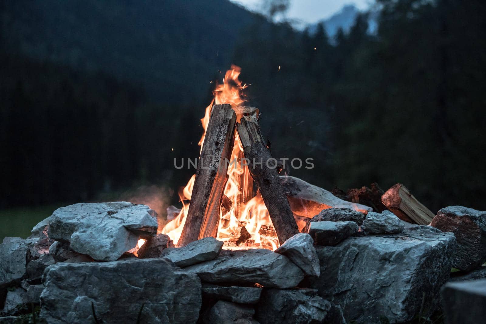 Forest bonfire in the summer, camping time with friends. Copy space.