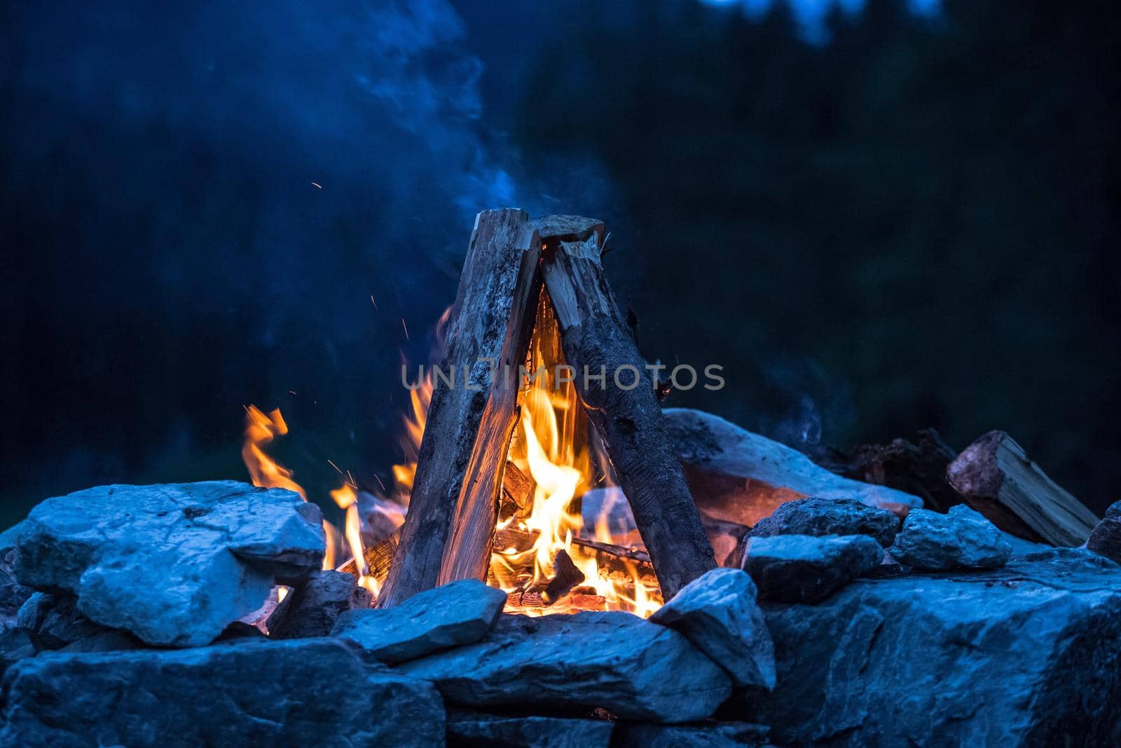 Forest bonfire in the summer, camping time with friends. Copy space.