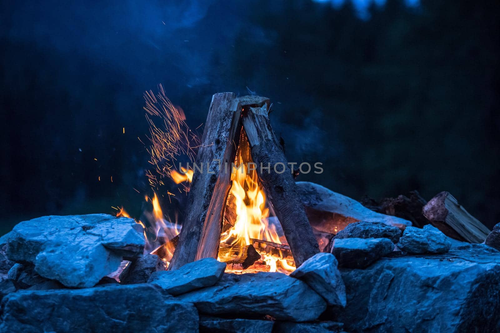 Forest bonfire in the summer, camping time with friends. Copy space.