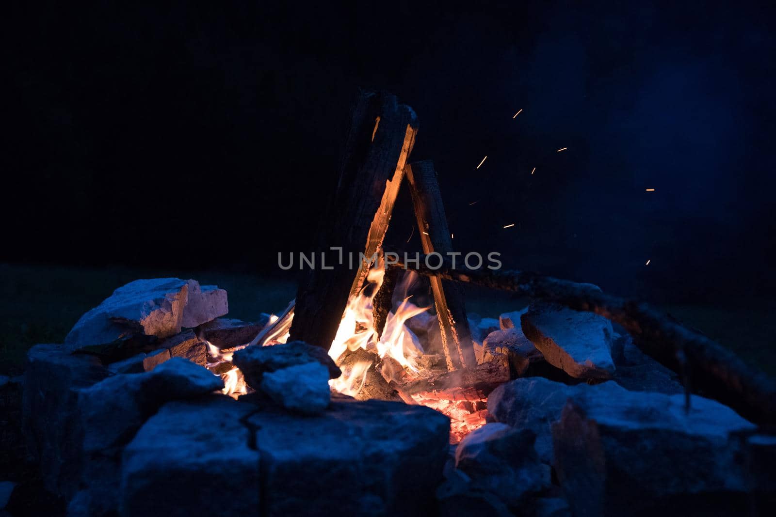 Forest bonfire in the summer, camping time with friends. Copy space.