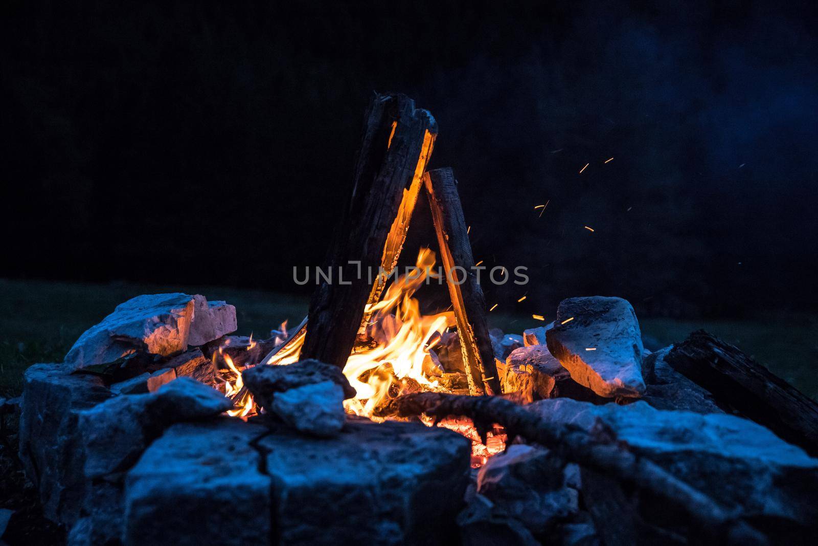 Forest bonfire in the summer, camping time with friends. Copy space.