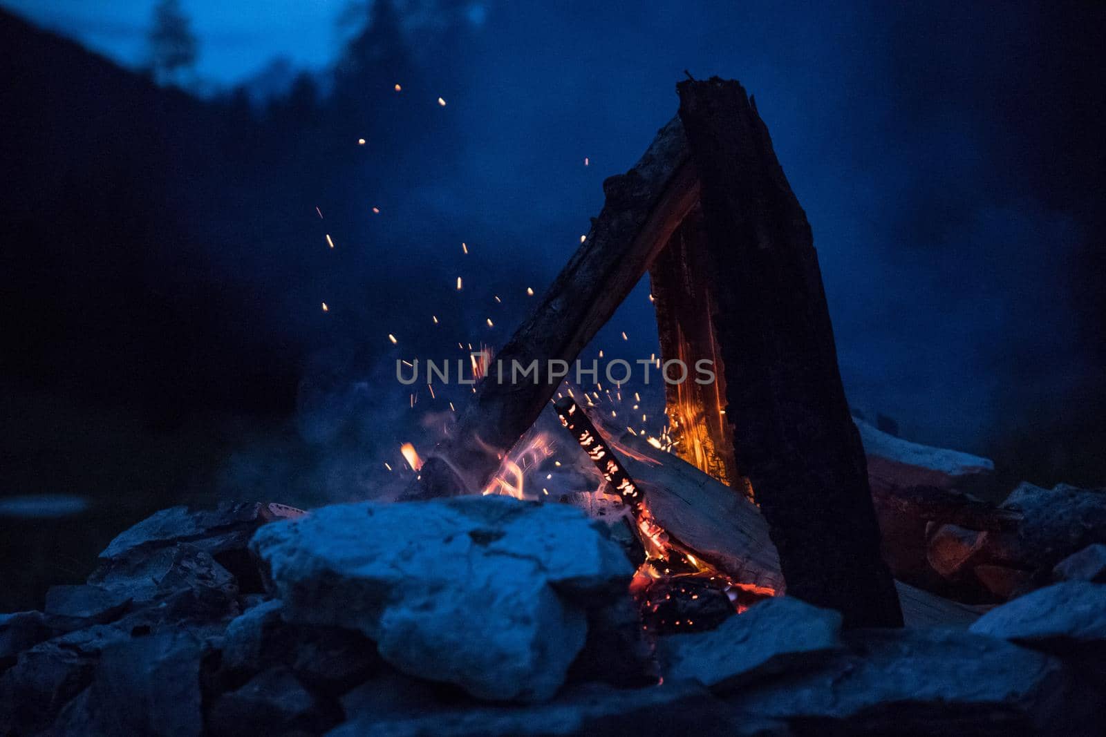 Forest bonfire in the summer, camping time with friends. Copy space.
