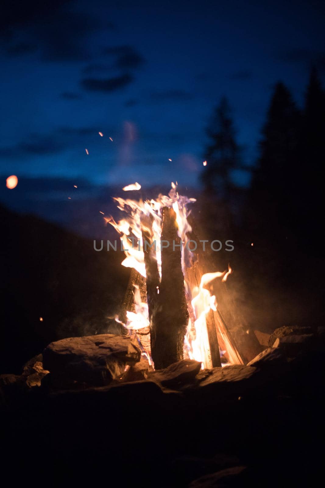 Forest bonfire in the summer, camping time with friends. Copy space.