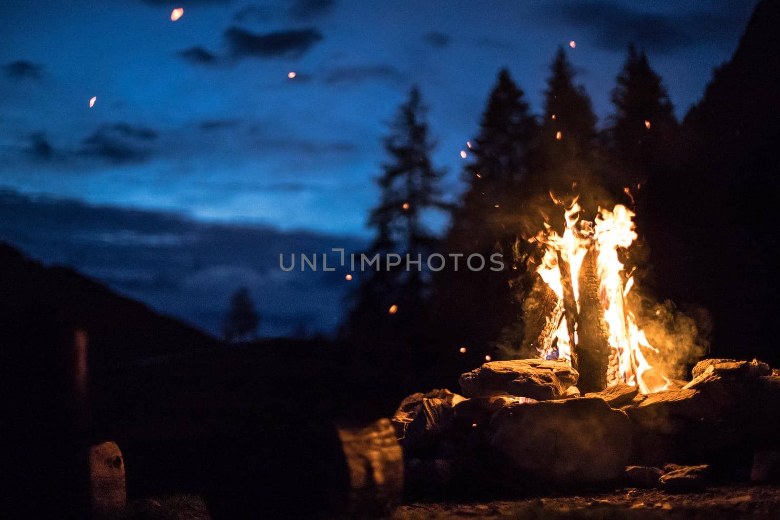 Forest bonfire in the summer, camping time with friends. Copy space.