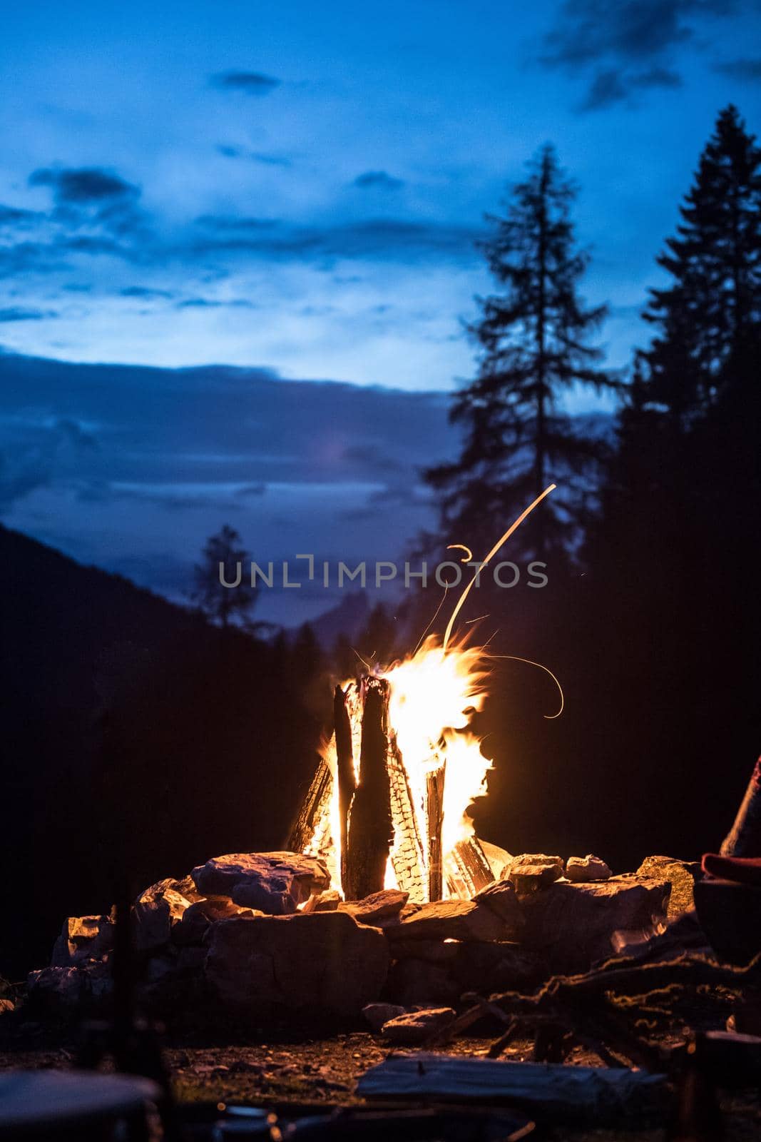 Forest bonfire in the summer, camping time with friends. Copy space.