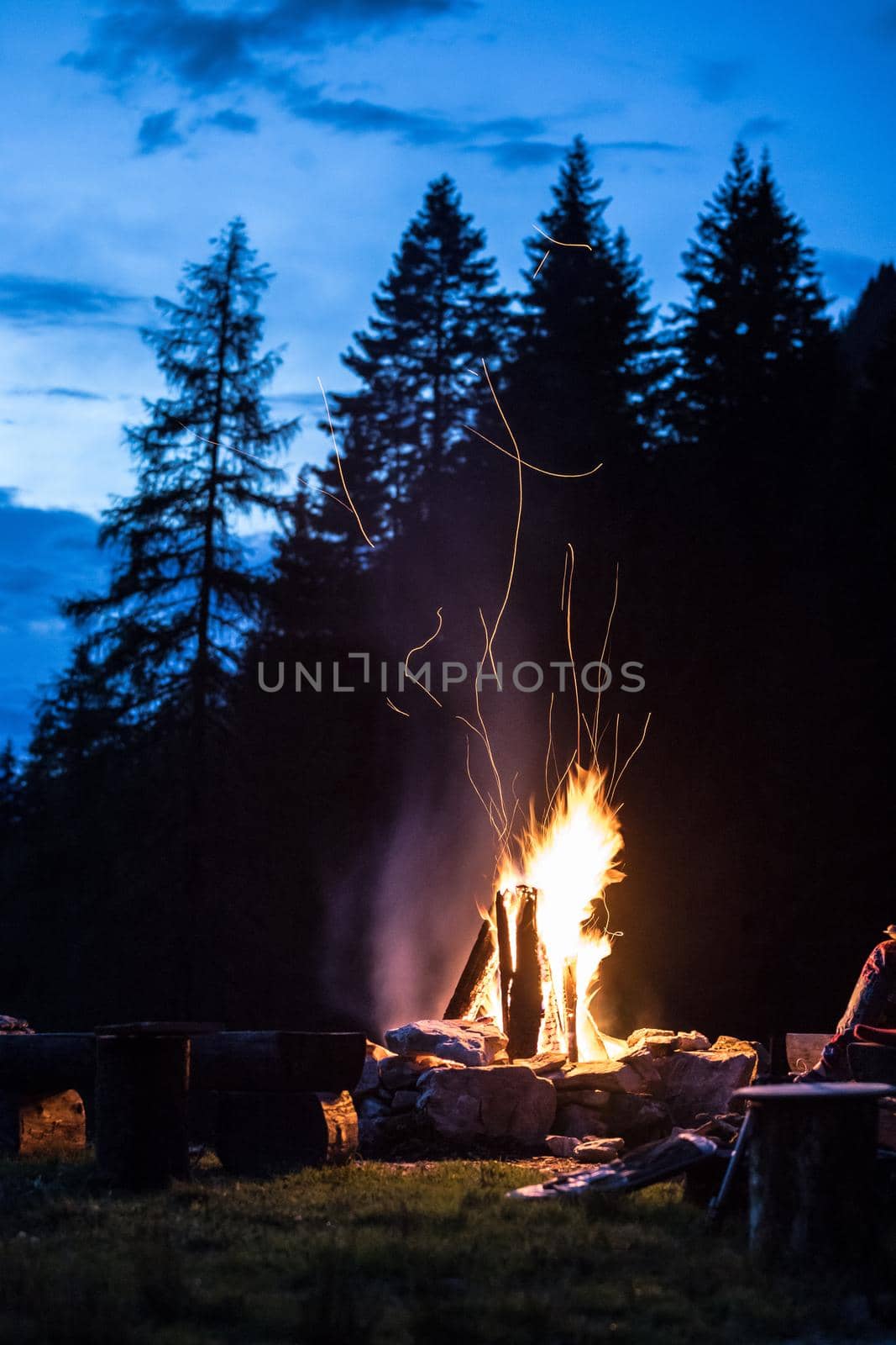 Forest bonfire in the summer, camping time with friends. Copy space.