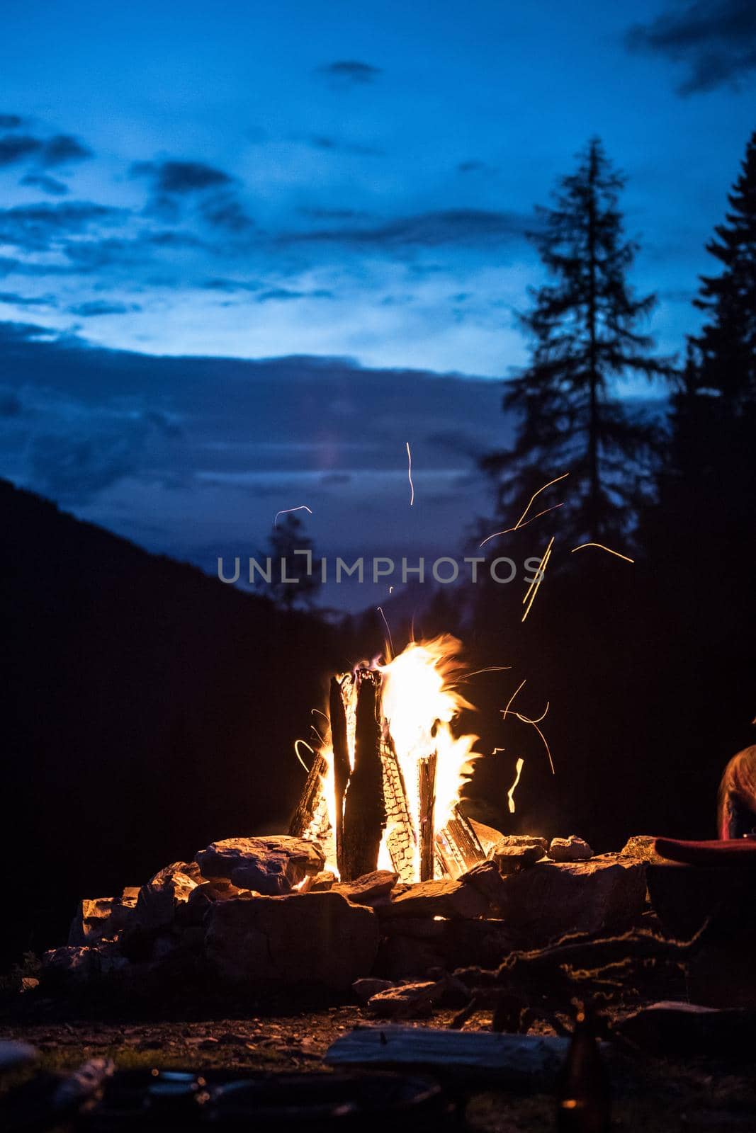 Forest bonfire in the summer, camping time with friends. Copy space.