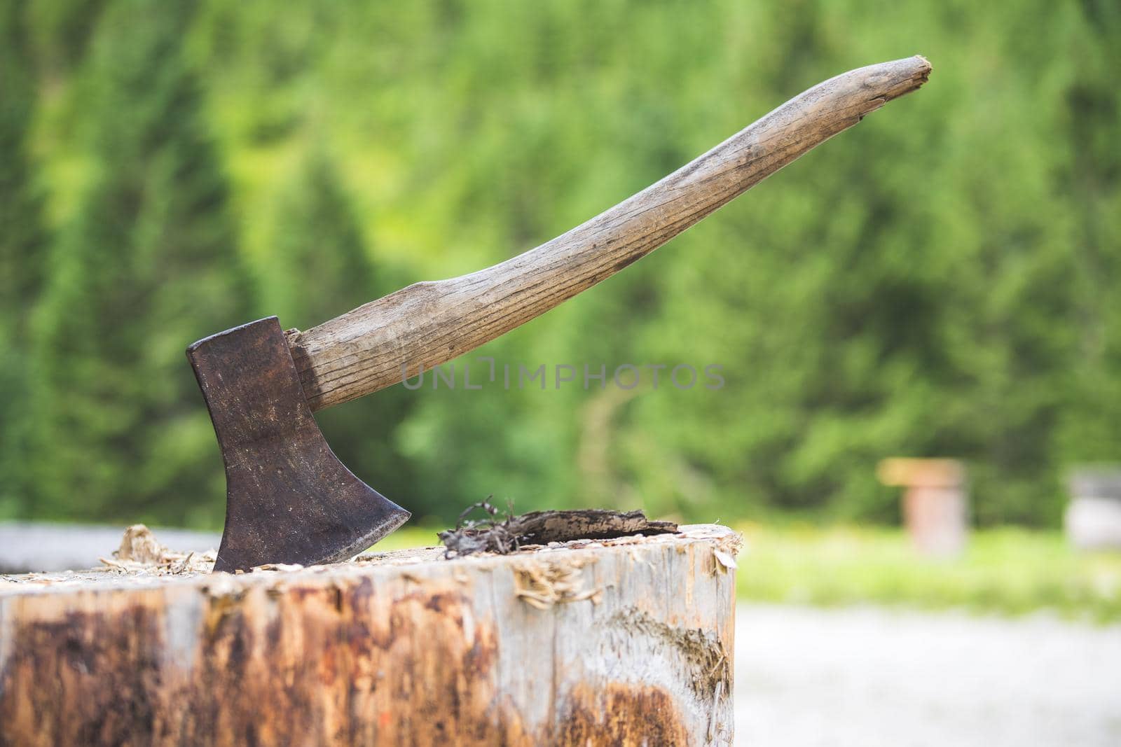 Old axe attached to a tree trunk, alpine hut