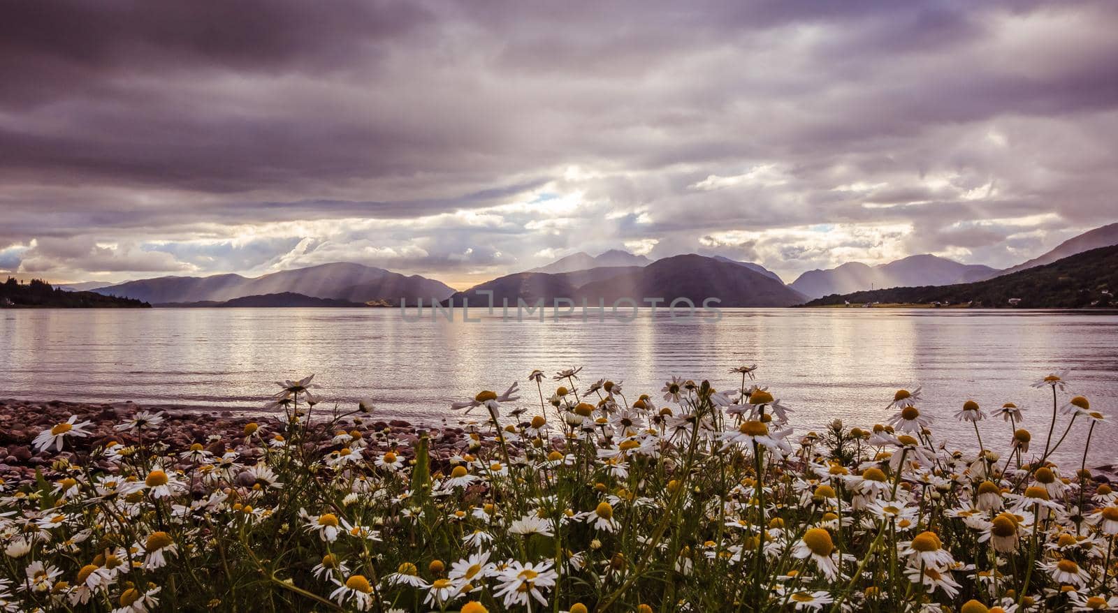 Beautiful mystic landscape lake scenery in Scotland with cloudy sky, flowers and sunbeams