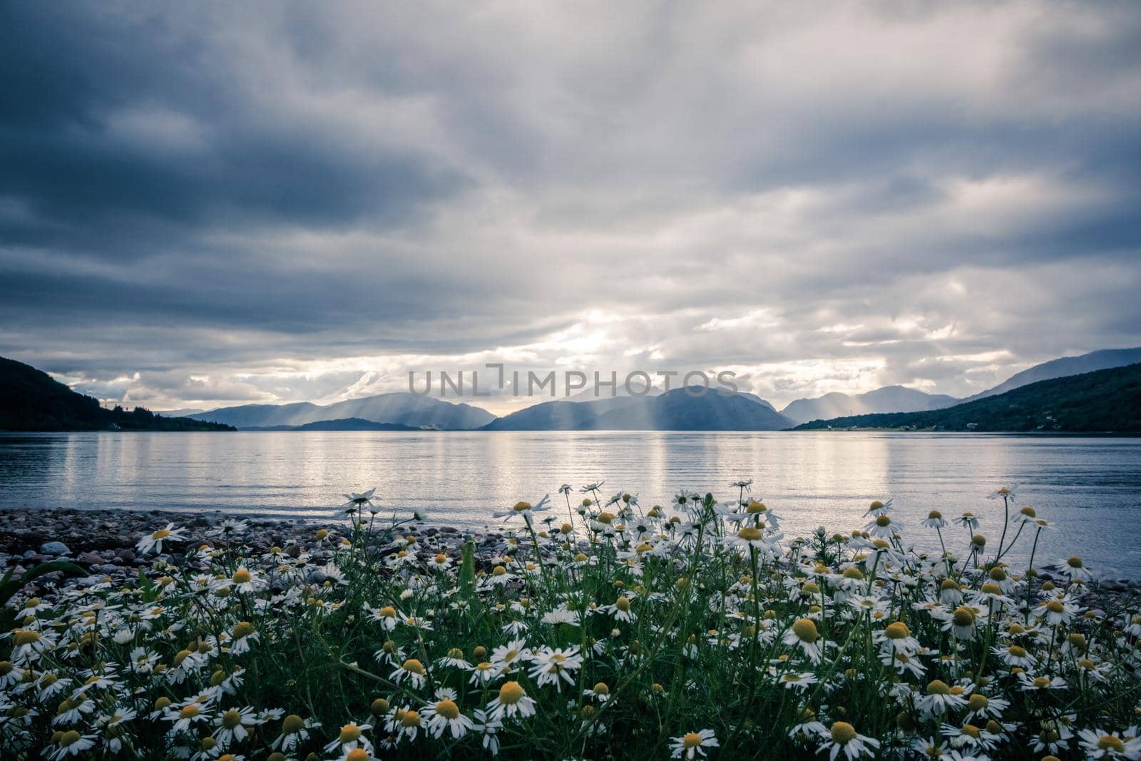 Beautiful mystic landscape lake scenery in Scotland with cloudy sky, flowers and sunbeams