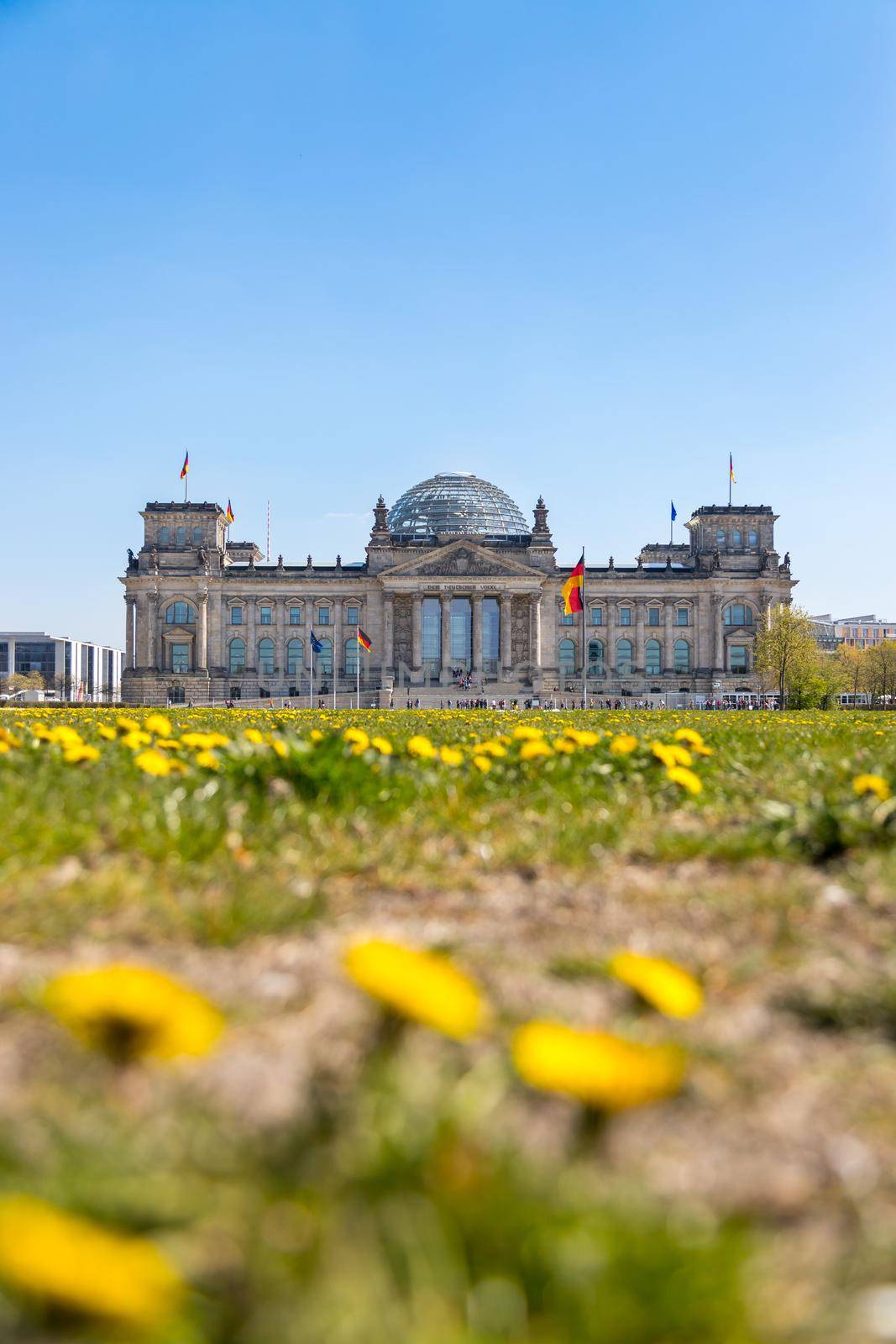 German parliament, Berliner Reichstag in springtime: Tourist attraction in Berlin by Daxenbichler