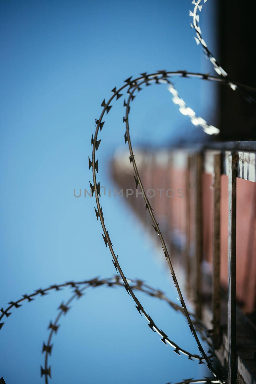 Barbed wire in the prison or on military base, close up perspective by Daxenbichler