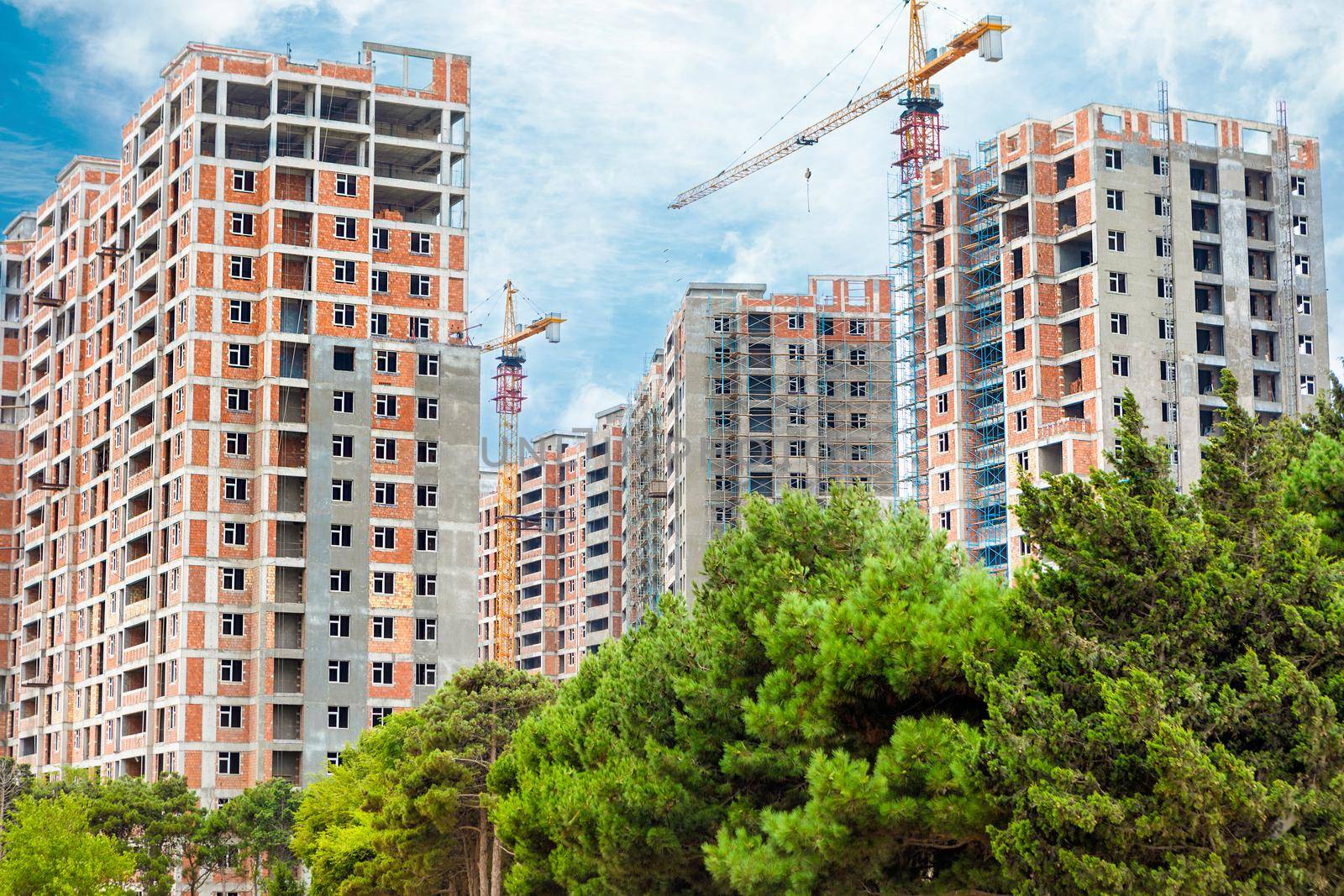 High buildings with scaffold and green trees at the construction site