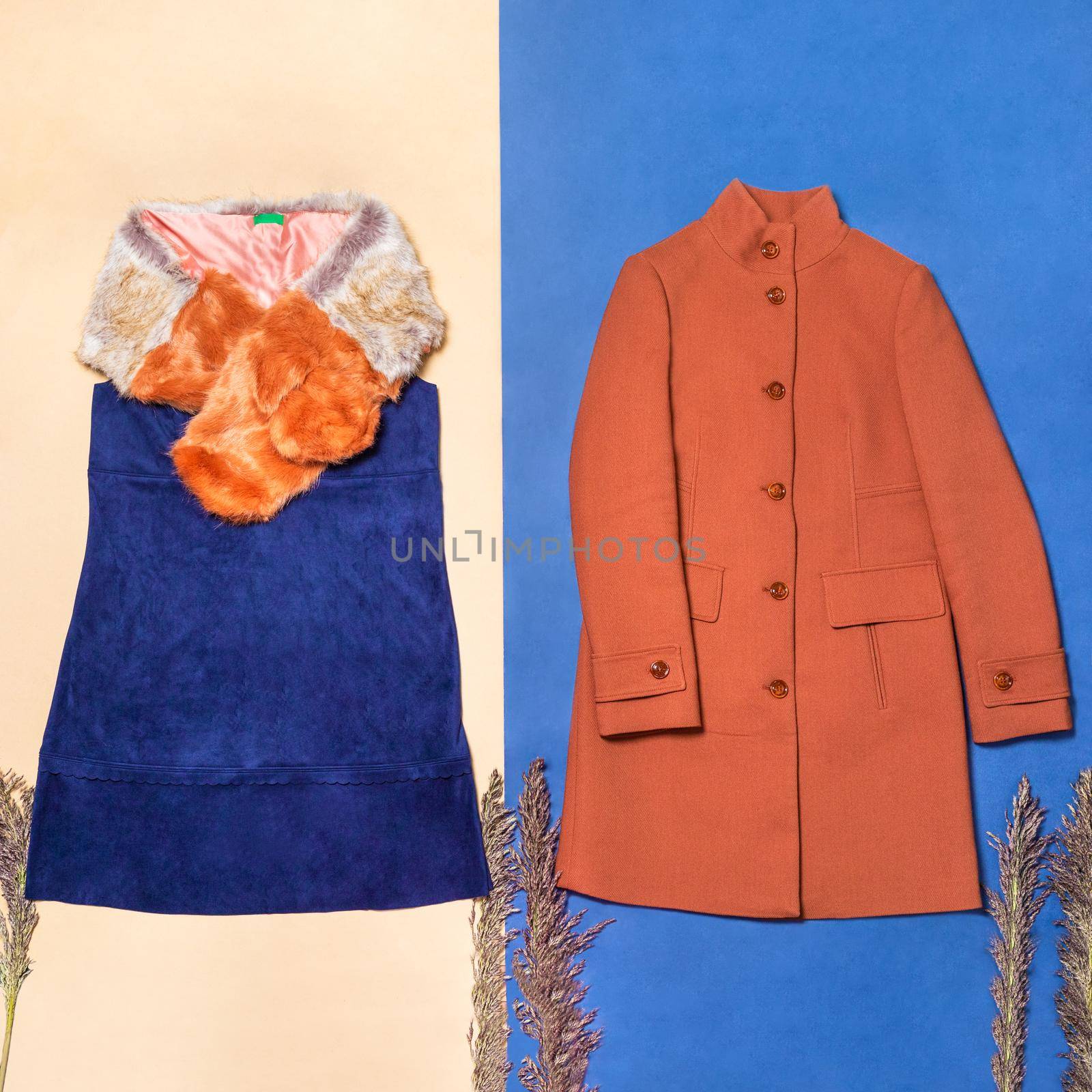 Orange women coat on a isolated background