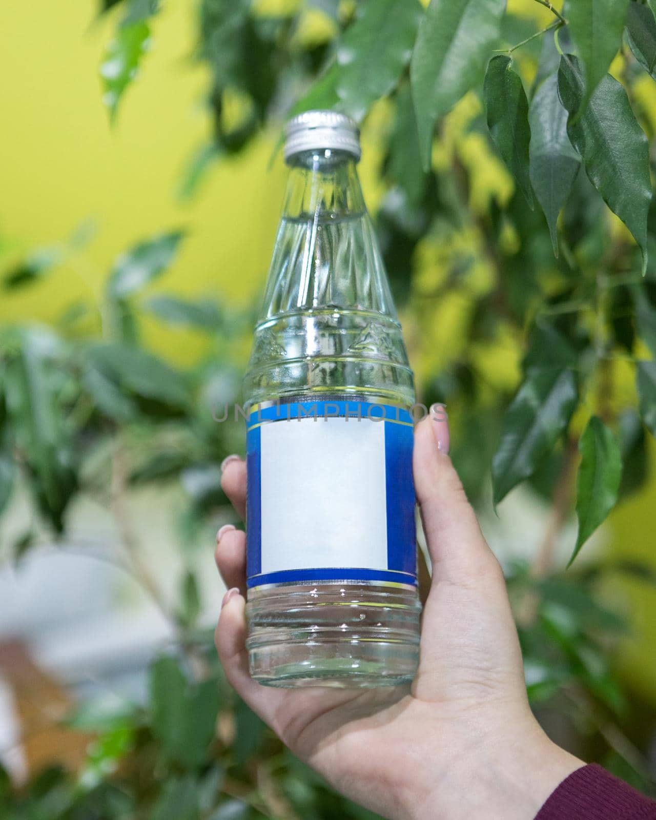 Holding a glass water bottle with green background