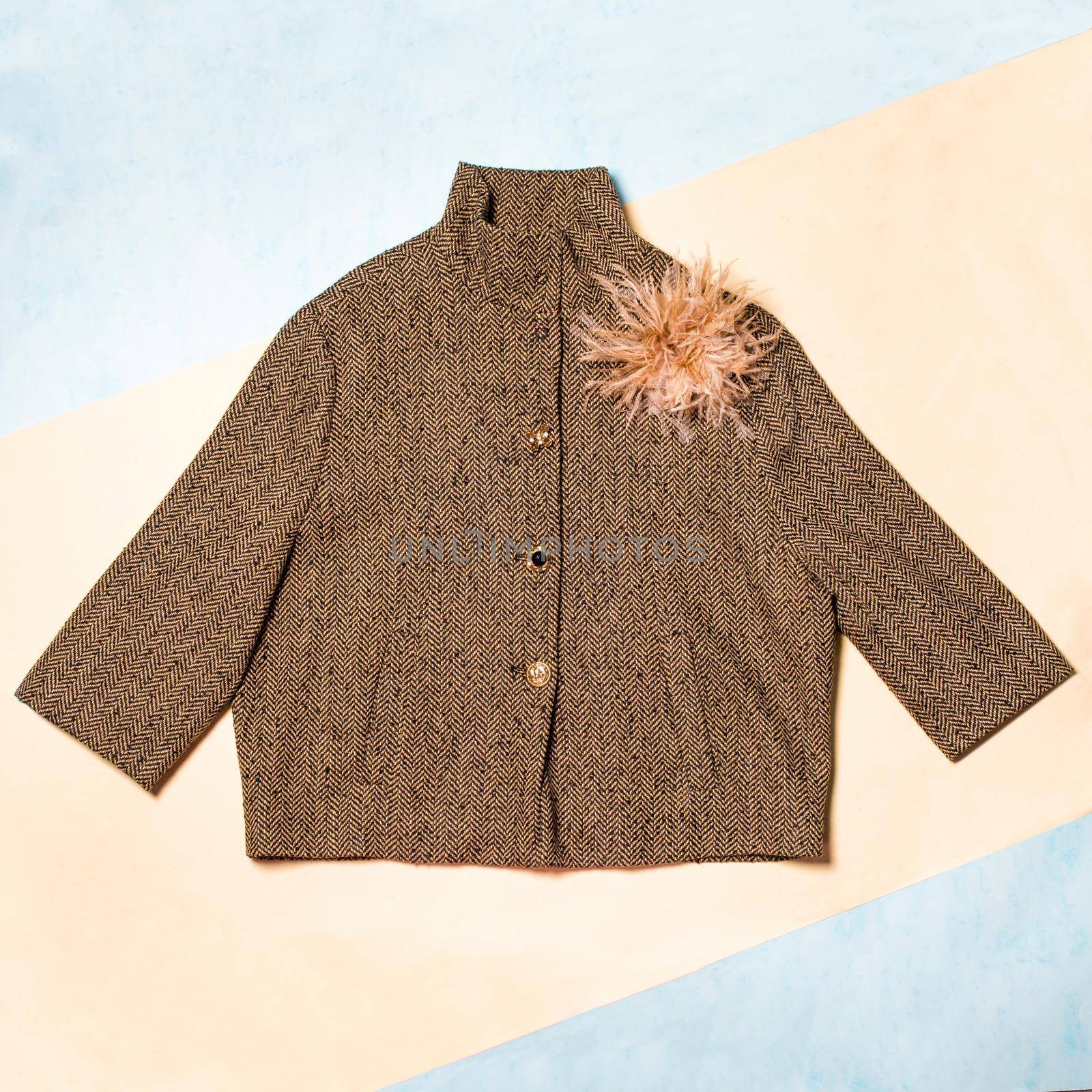 Brown color woman autumn coat isolated