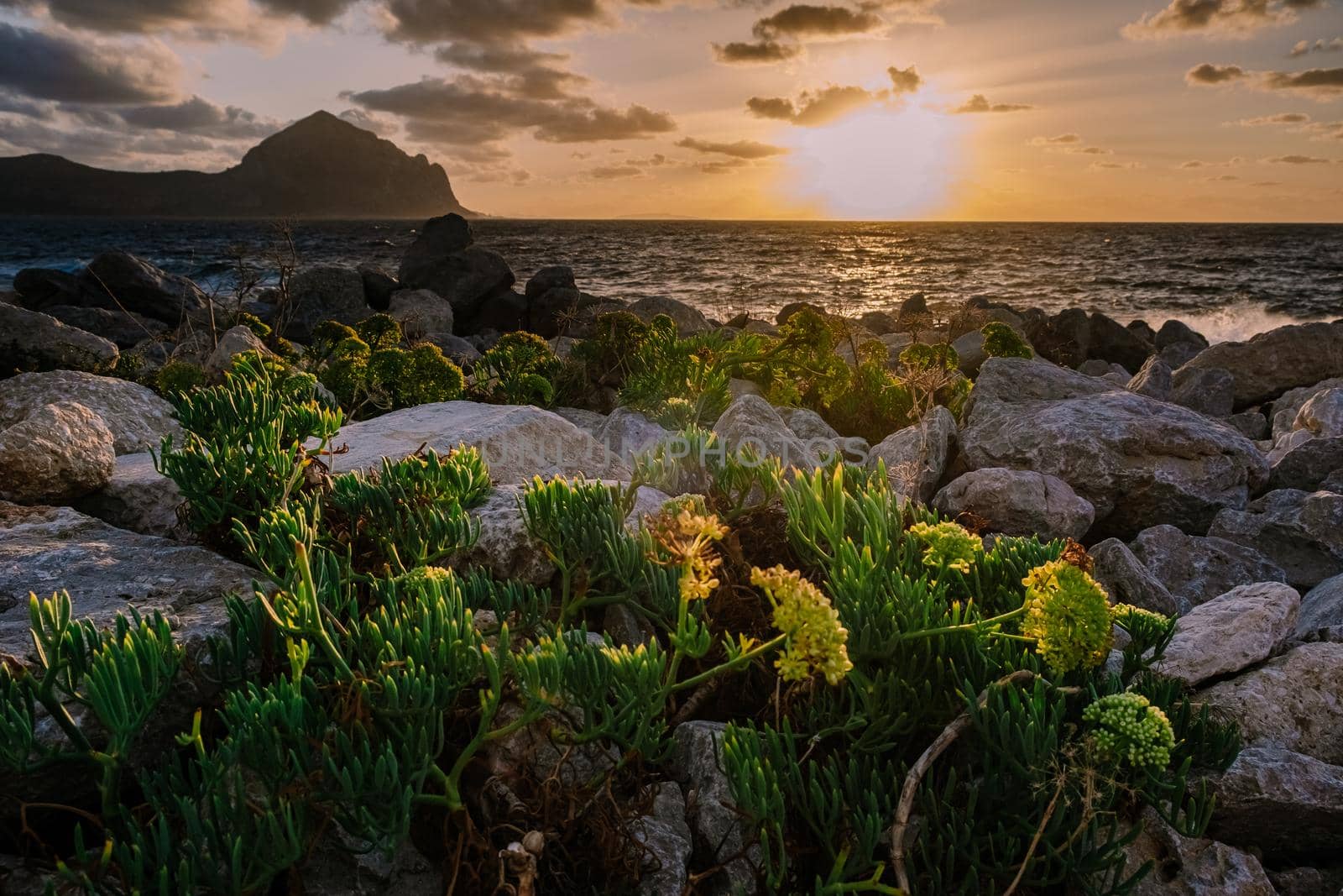 San Vito Lo Capo Sicily, San Vito lo Capo beach and Monte Monaco in background, north-western Sicily by fokkebok