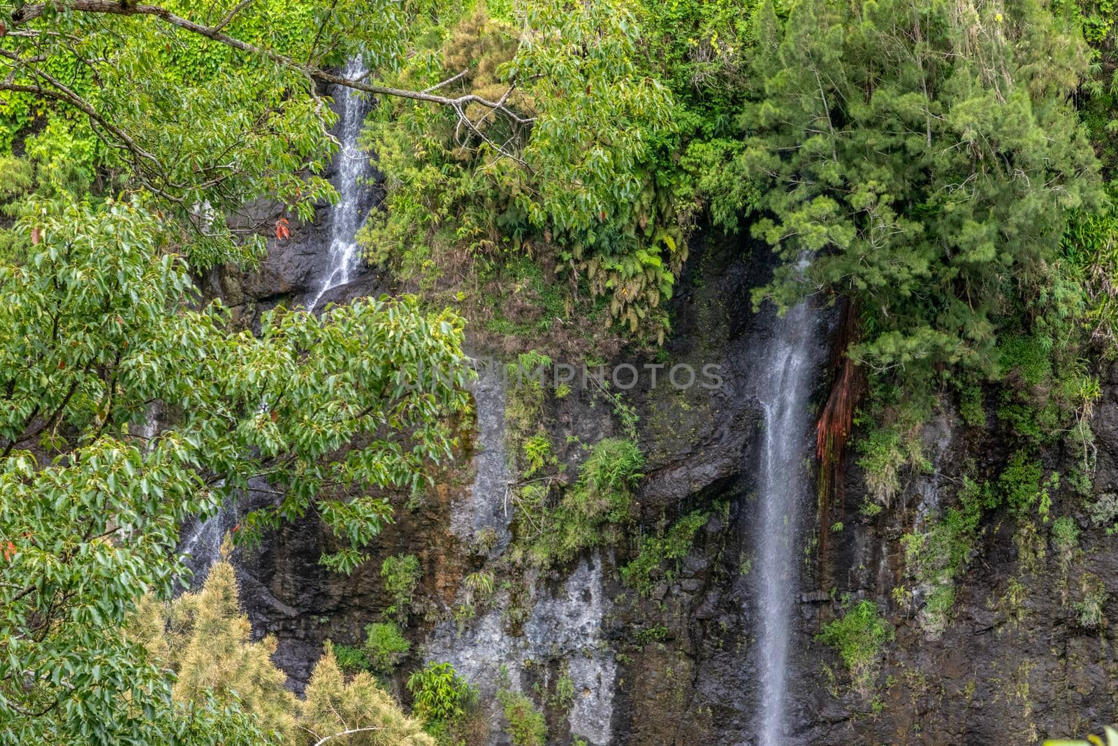 Waterfall on a green mountain at french island Reunion in the indian ocean