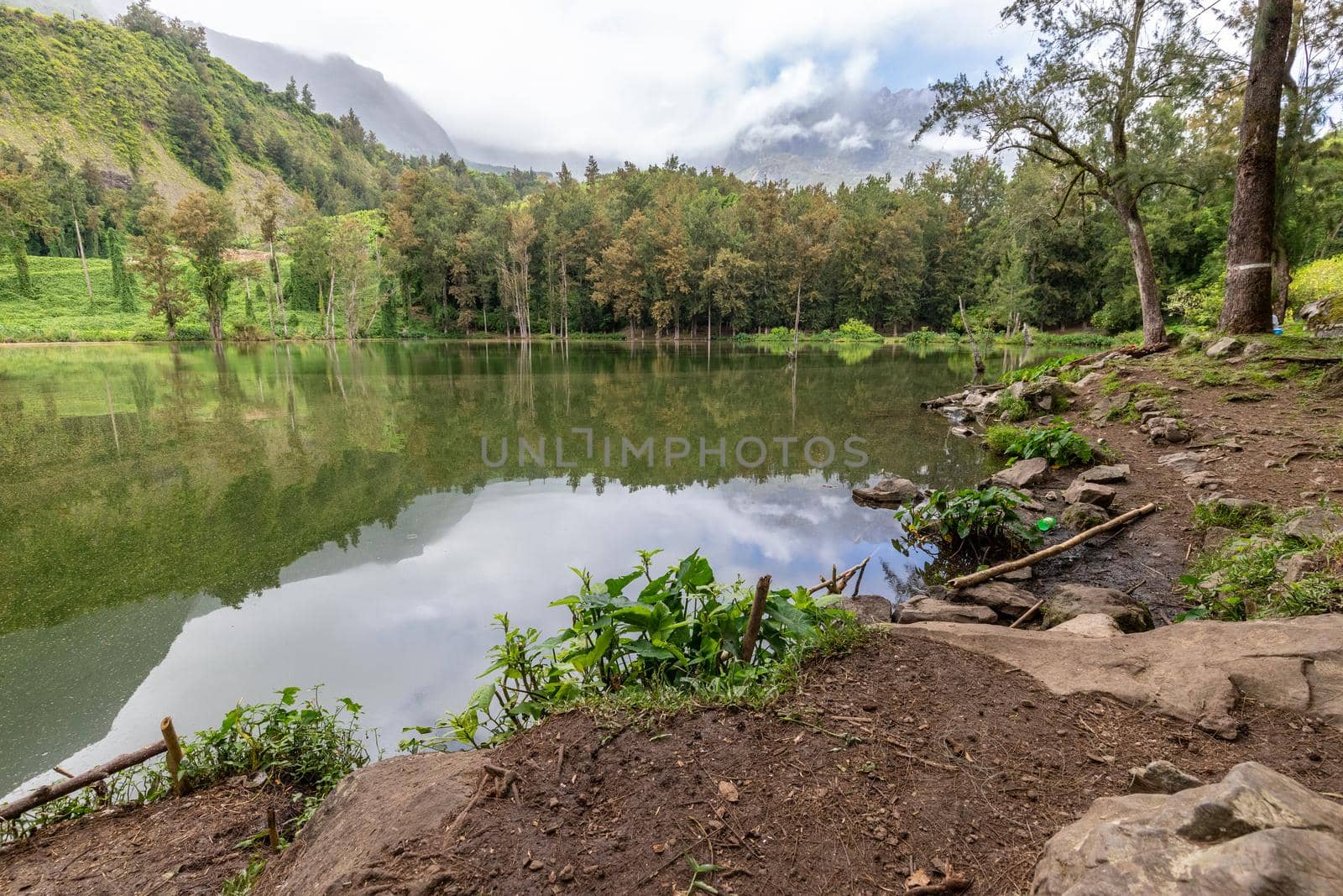 Landscape with idyllic lake, mountain range, green trees in the interior of the island Reunion in the indian ocean 