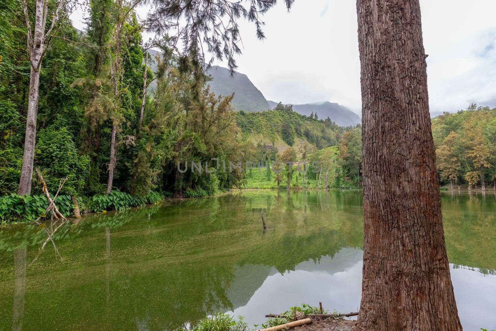 Idyllic lake at Reunion island by reinerc