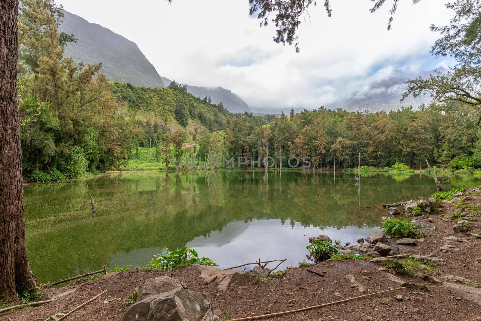 Landscape with idyllic lake, mountain range, green trees in the interior of the island Reunion in the indian ocean 