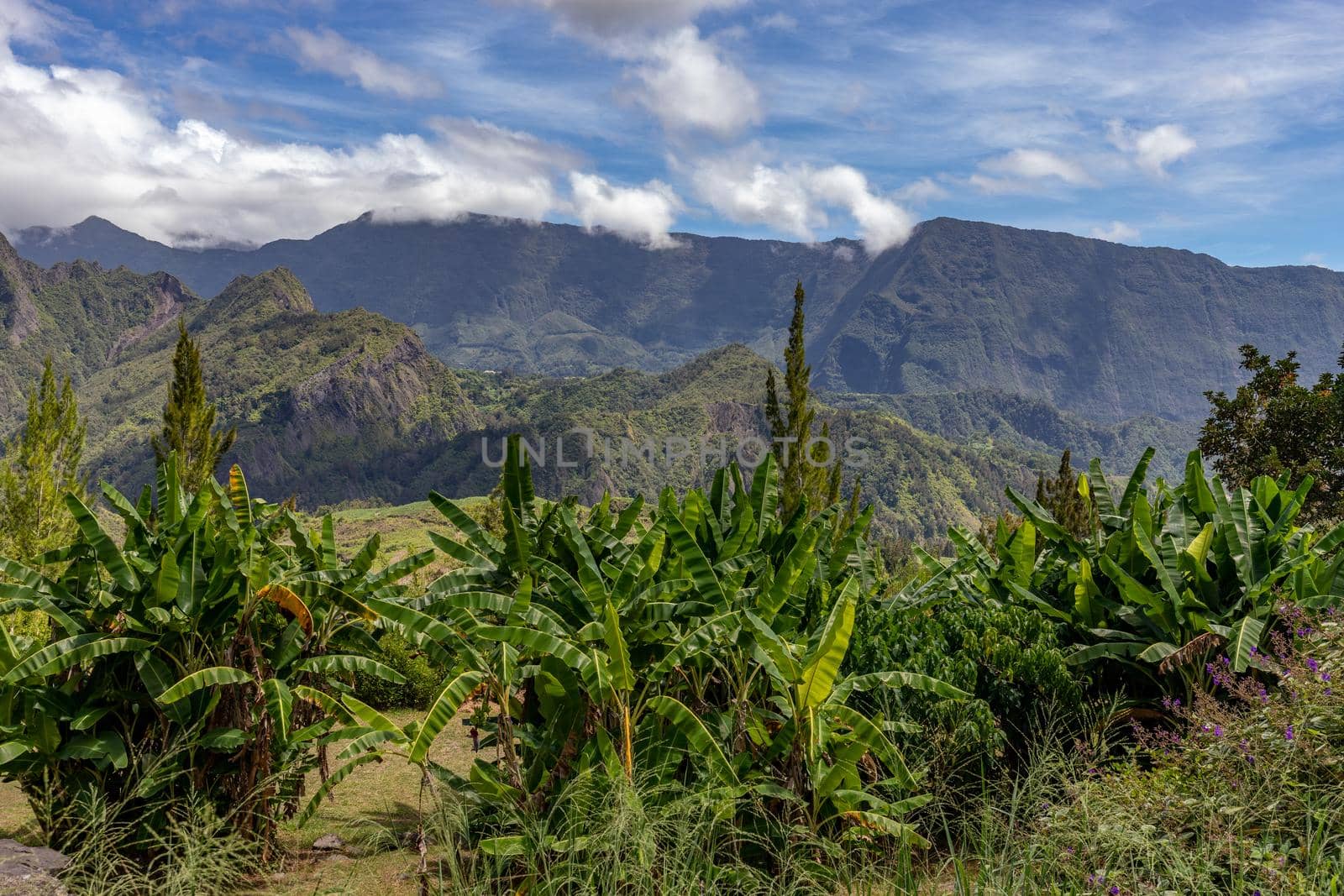 Scenic view of a landscape at Reunion island by reinerc